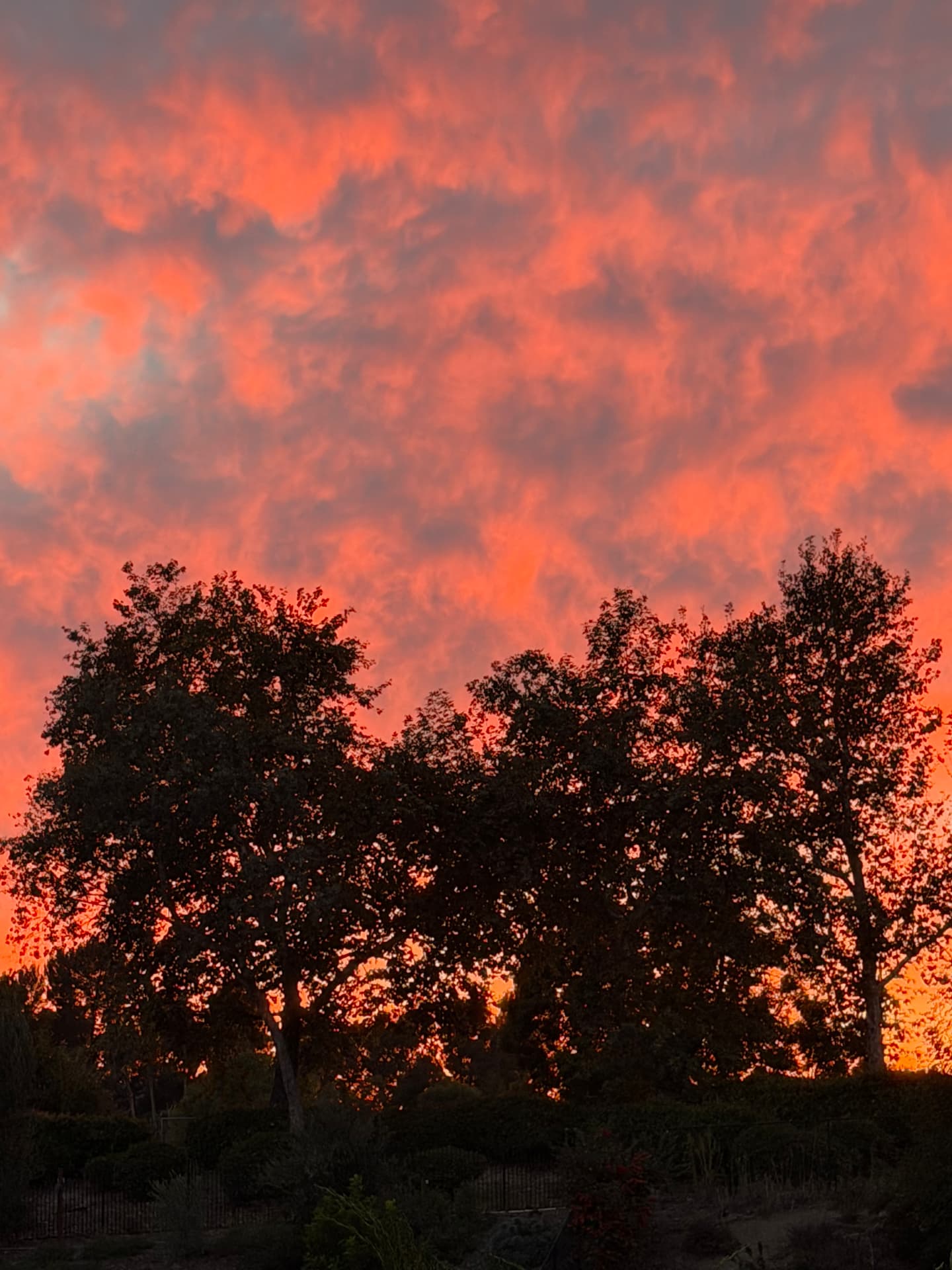 Fiery Sky